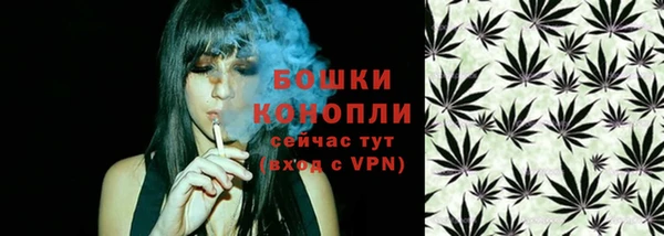 стафф Заволжск