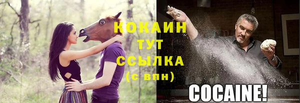 стафф Заволжск