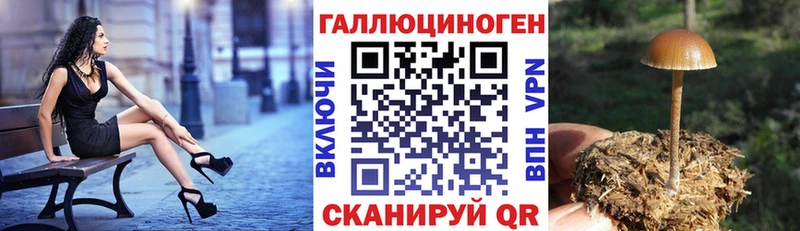 Купить  Шимановск  Галлюциногенные грибы мухоморы 