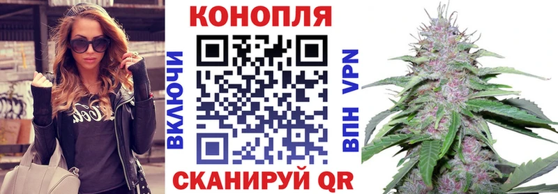 Марихуана MAZAR  Купить закладки  Шимановск 